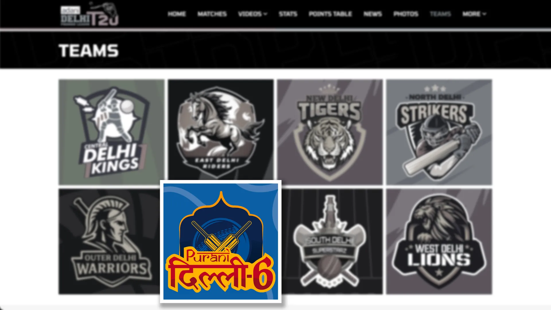 Purani Dilli 6 logo standing out among other Delhi Premier League team logos